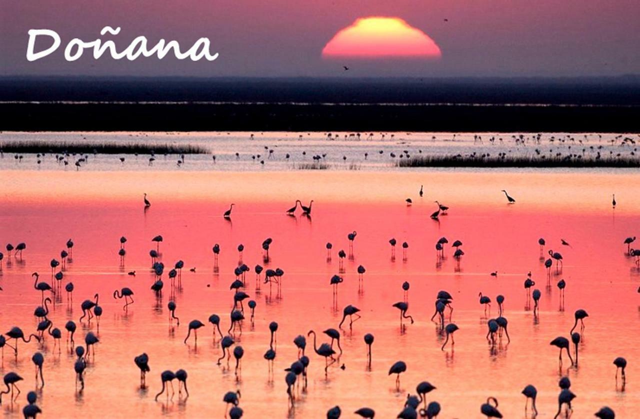Estupendo Apartamento Huelva Flecha Del Rompido エル・ポルティル エクステリア 写真